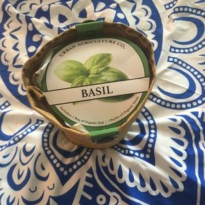 Grow your own basil!